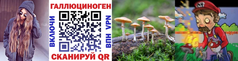 Галлюциногенные грибы прущие грибы  ОМГ ОМГ рабочий сайт  Урюпинск 