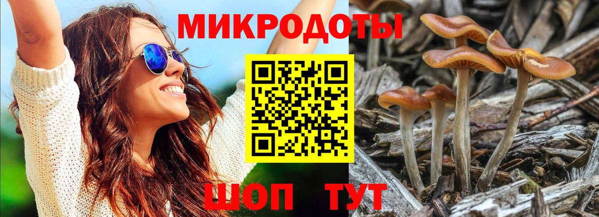 Урюпинск  Псилоцибиновые грибы Psilocybine cubensis  Вход с VPN 